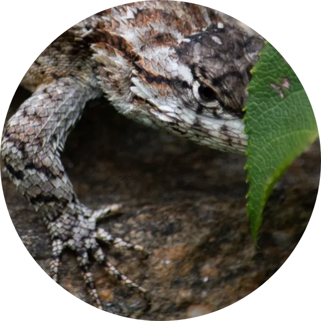 Staff Profile Picture